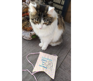 Stickdatei ITH - Wimpel Stab "Katzenhaare gehören hier zur Einrichtung."